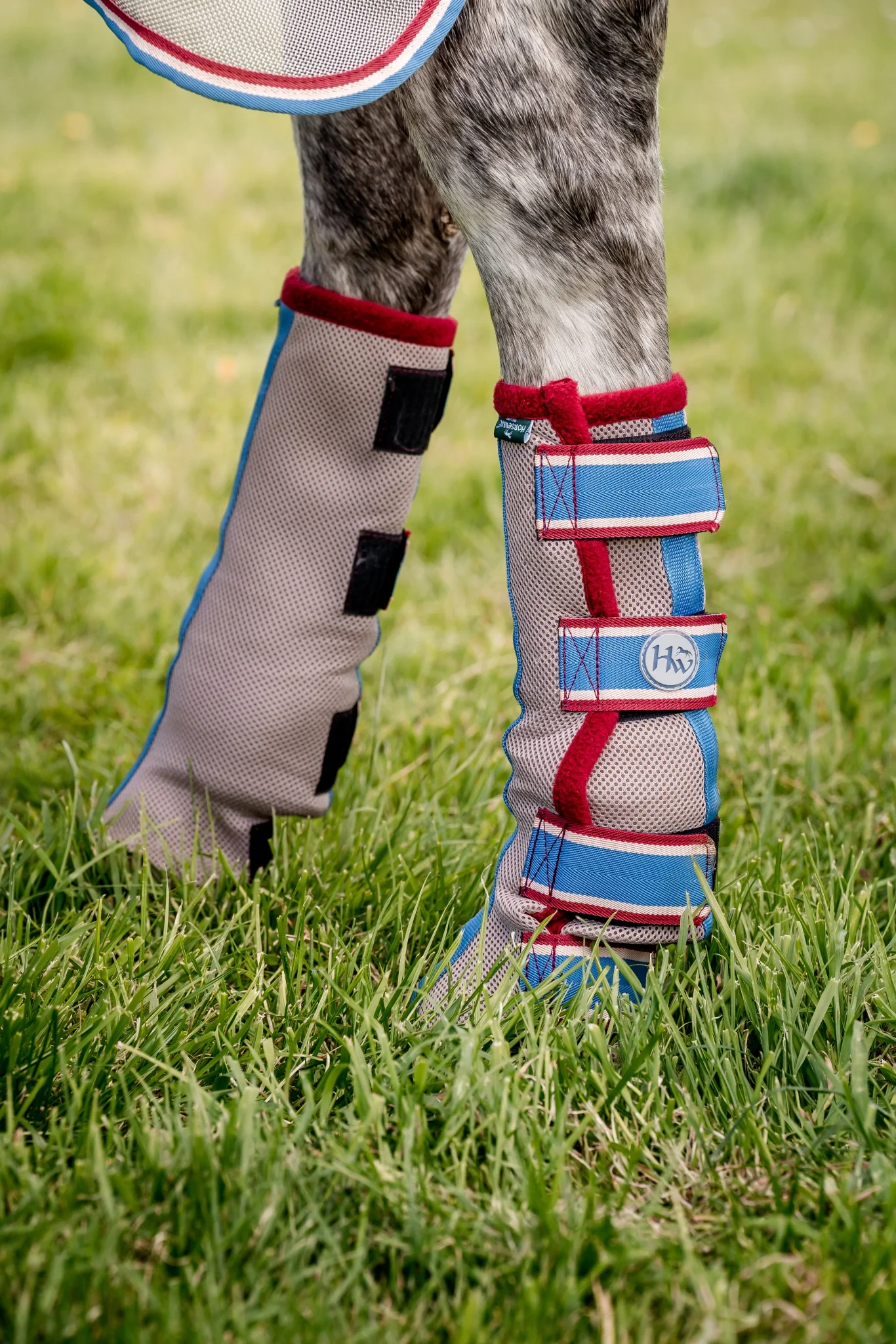 Horseware Fly Boots - Image 6