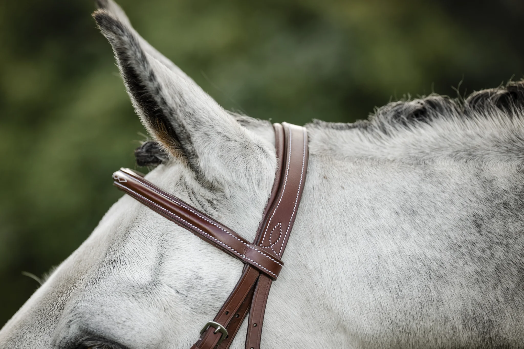 Horseware Hunter Cavesson Bridle with Reins - Image 2