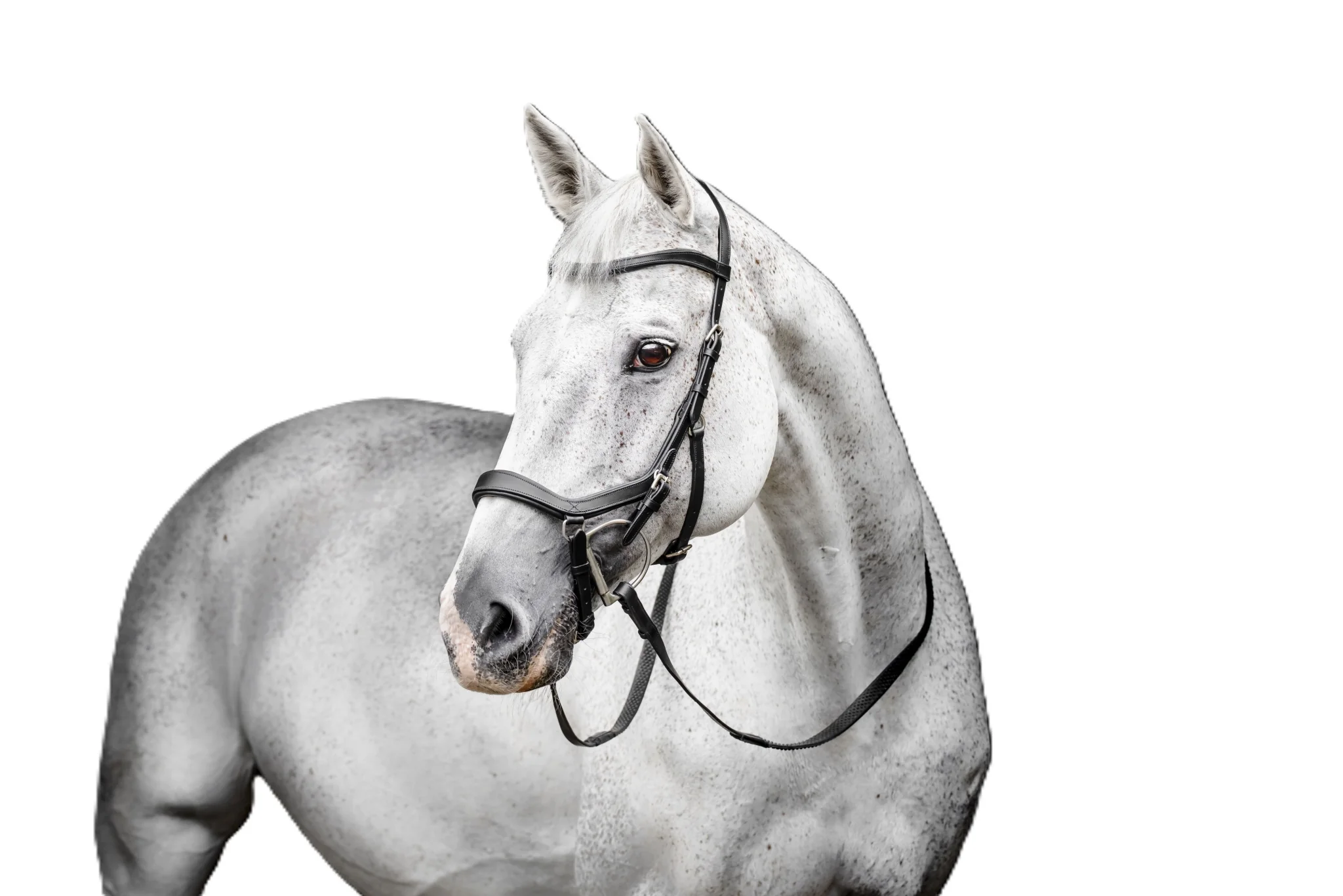 Horseware Micklem Competition Bridle