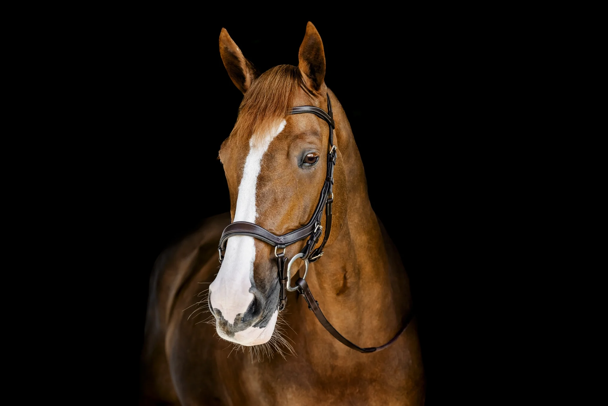 Horseware Micklem Competition Bridle - Image 4