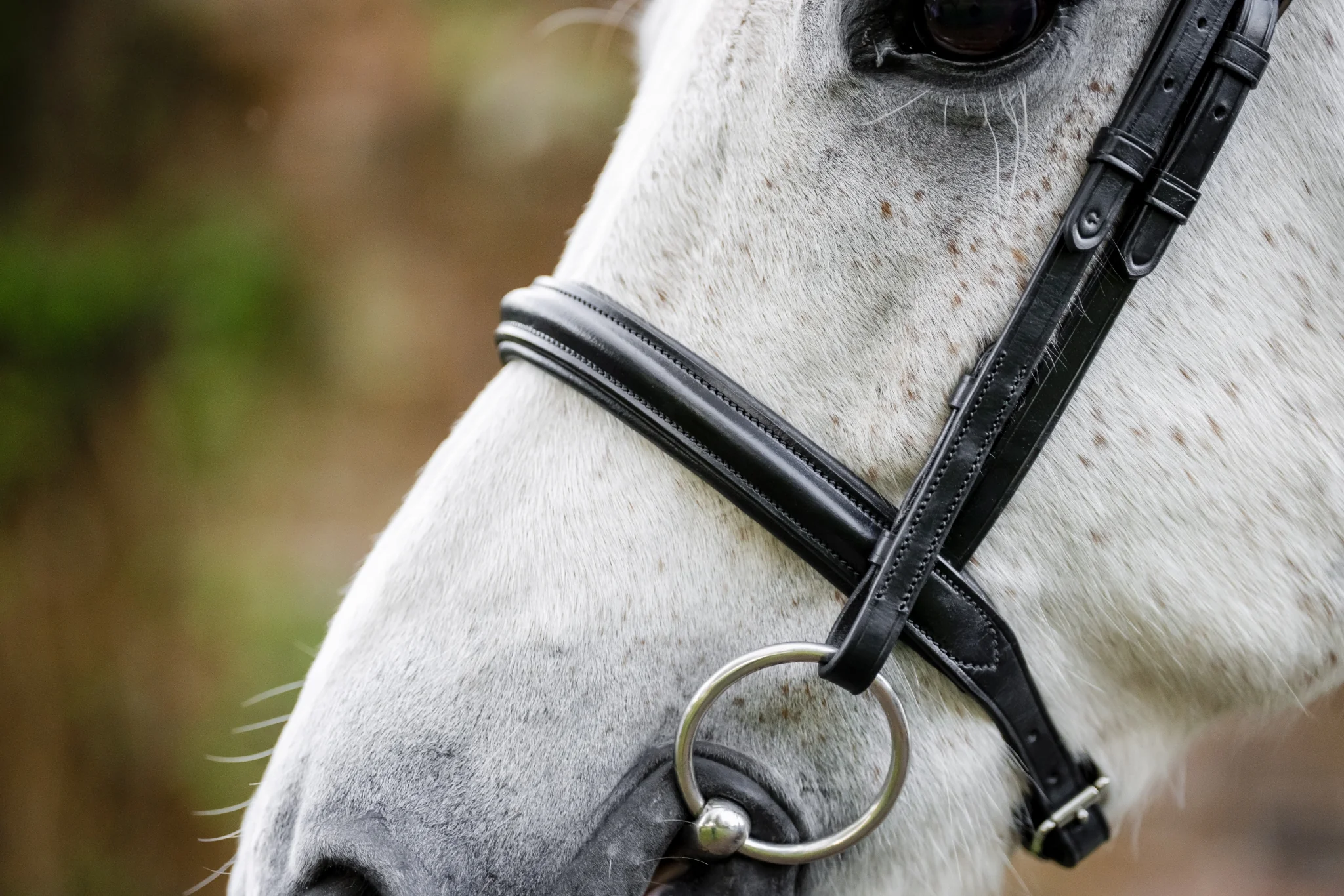 Horseware Pony Cavesson Bridle - Image 2