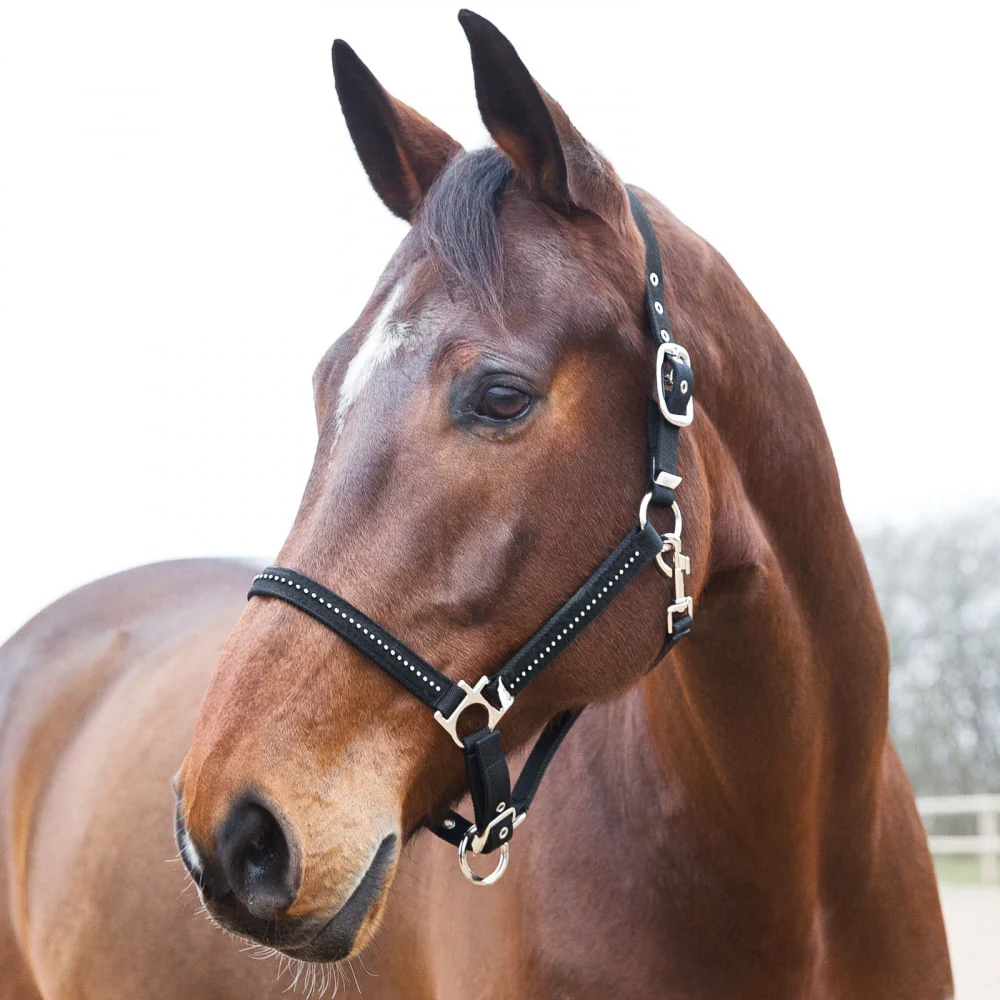 Horze Nylon Halter with Diamond-Like Stones