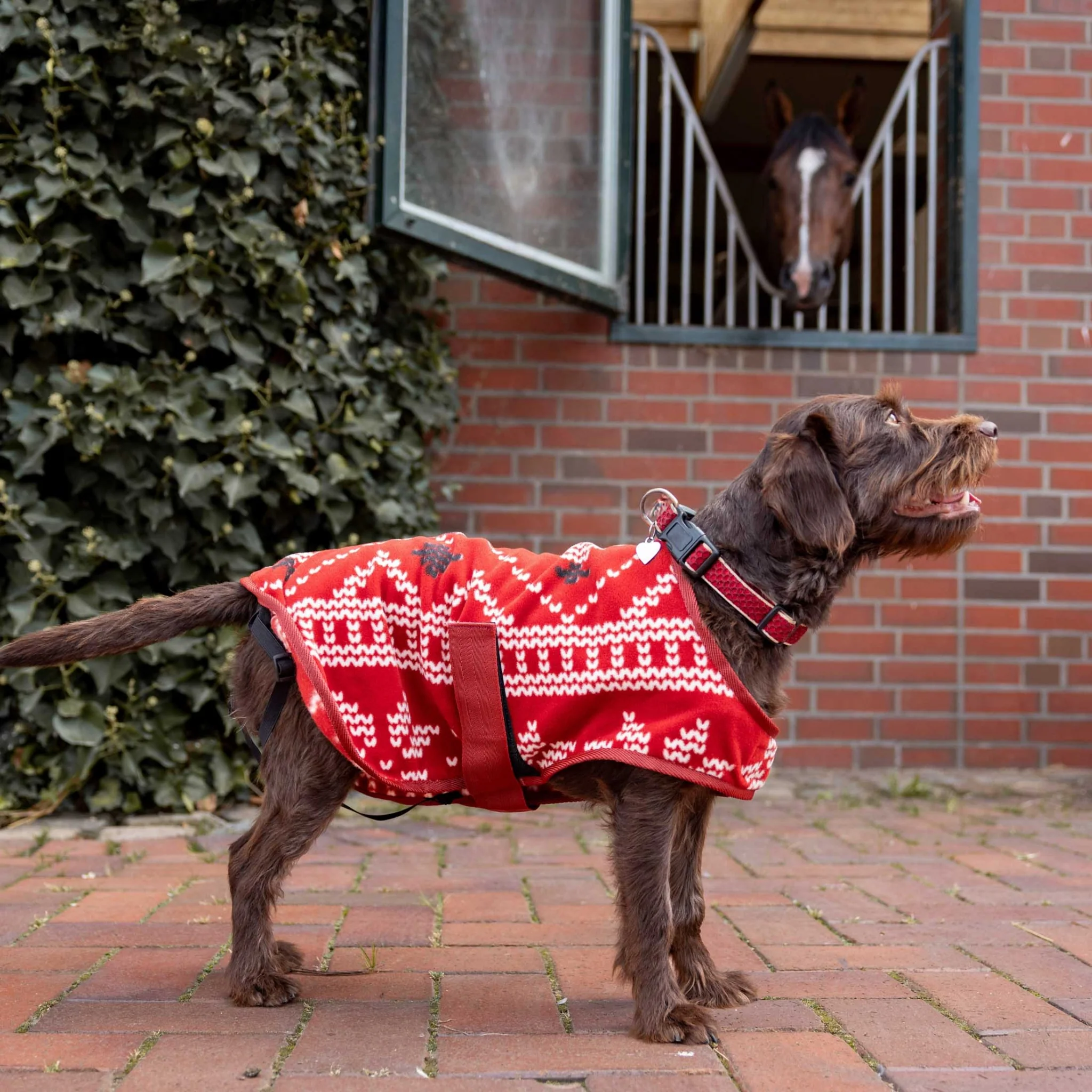 Horze Santa Dog Fleece Coat - Image 2