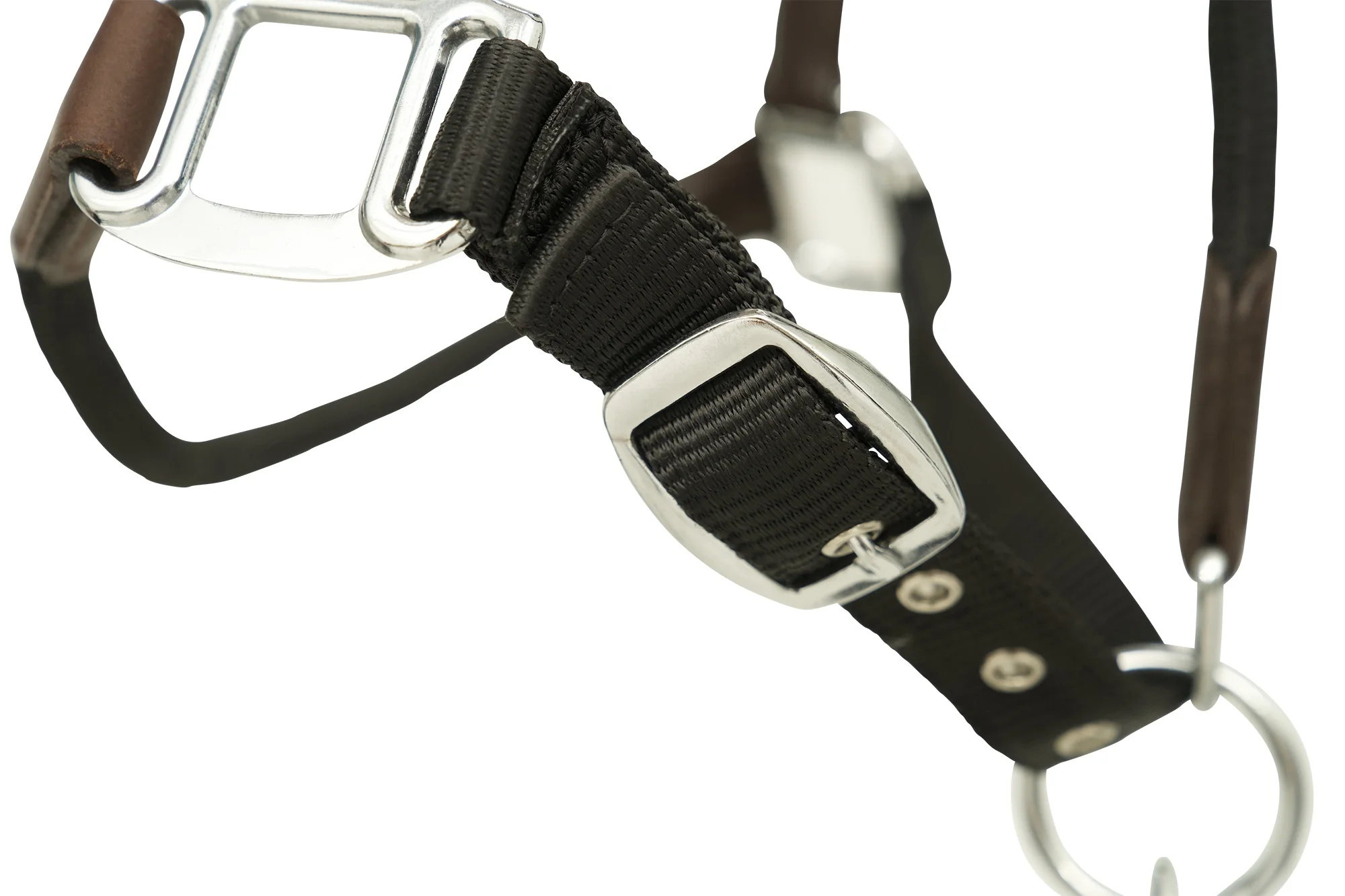 Huntley Equestrian Nylon Halter and Removable Lead with Snap - Image 3