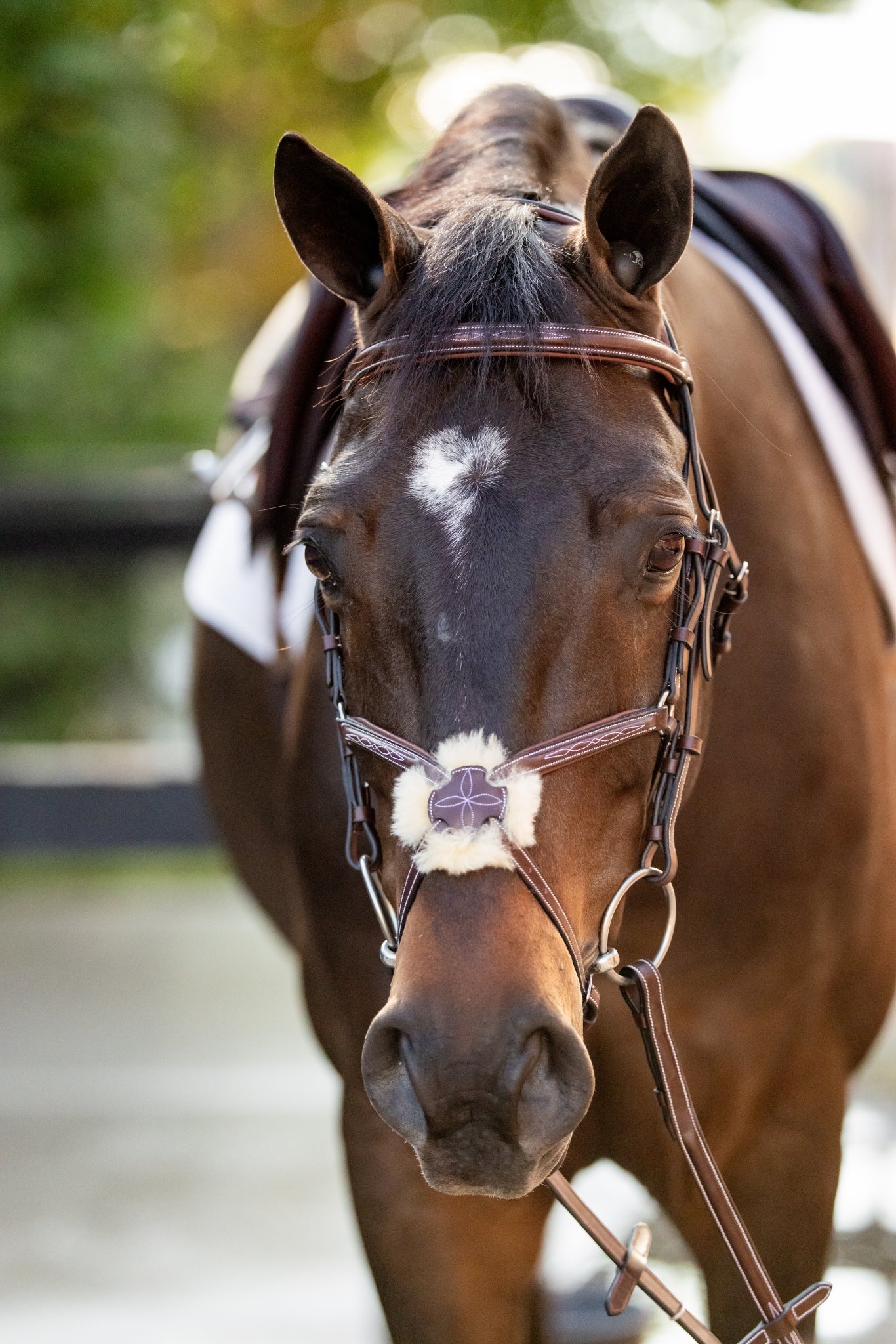 Huntley Equestrian Sedgwick Leather Padded Monocrown Figure 8 Bridle - Image 4