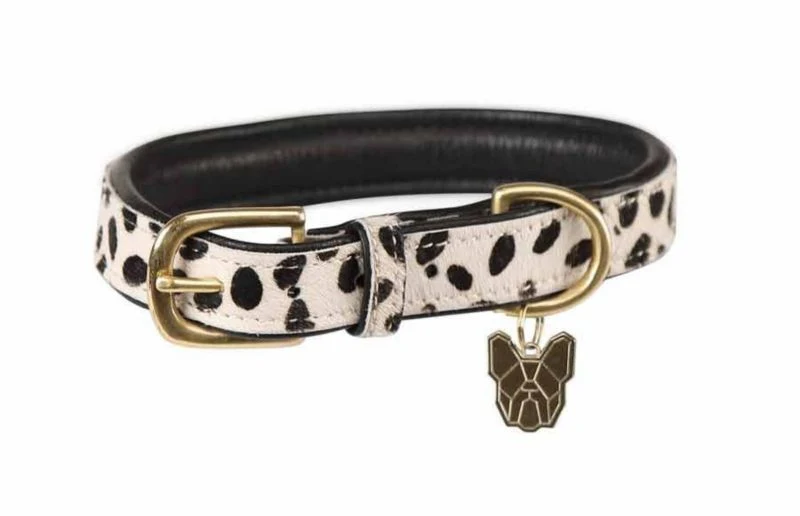 Shires Digby & Fox Printed Cow Hair Dog Collar - Image 5