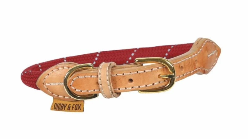 Shires Digby & Fox Reflective Dog Collar - Image 3
