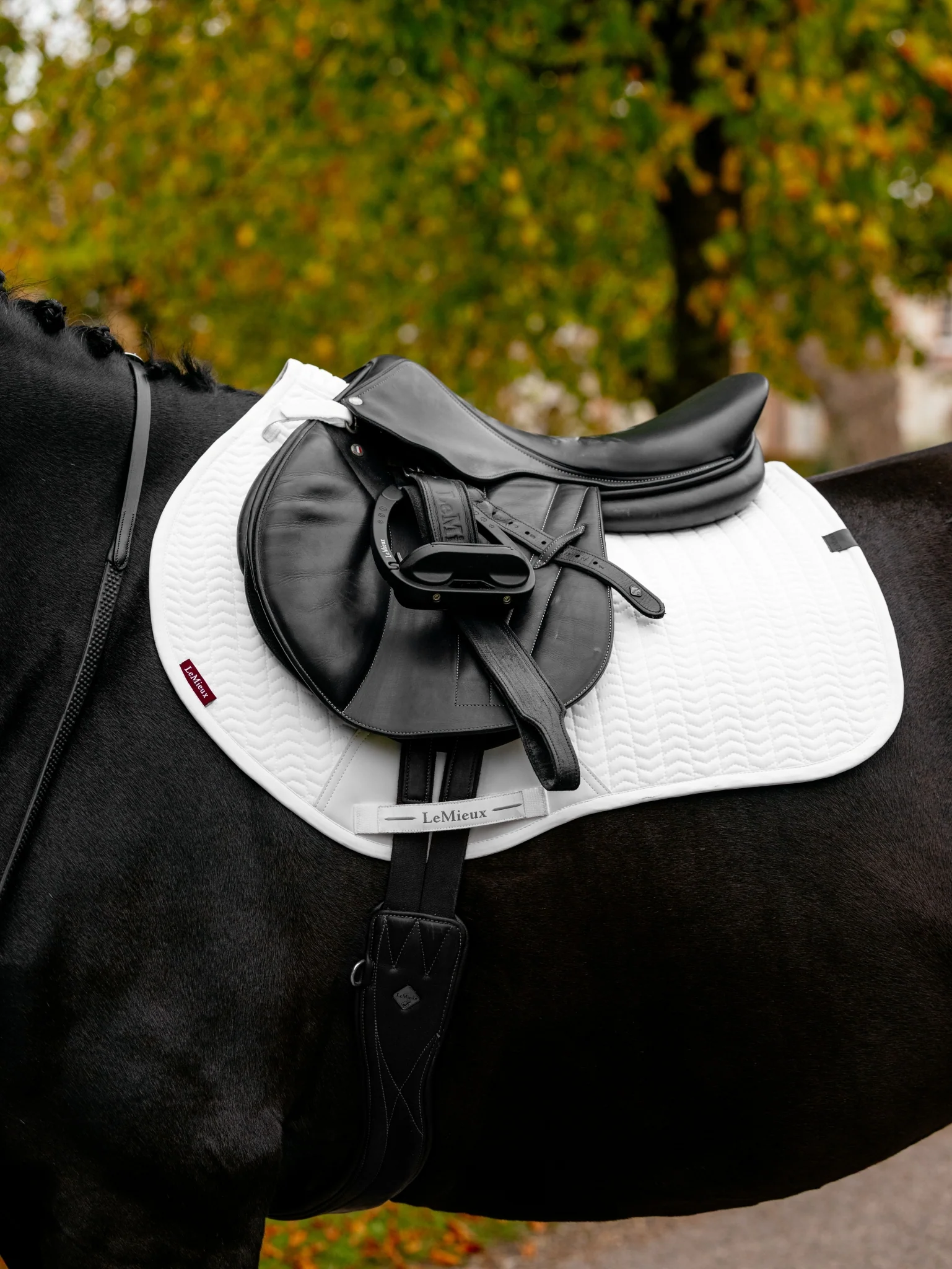 Lemieux Essence Eurojump Square Pad - Image 8