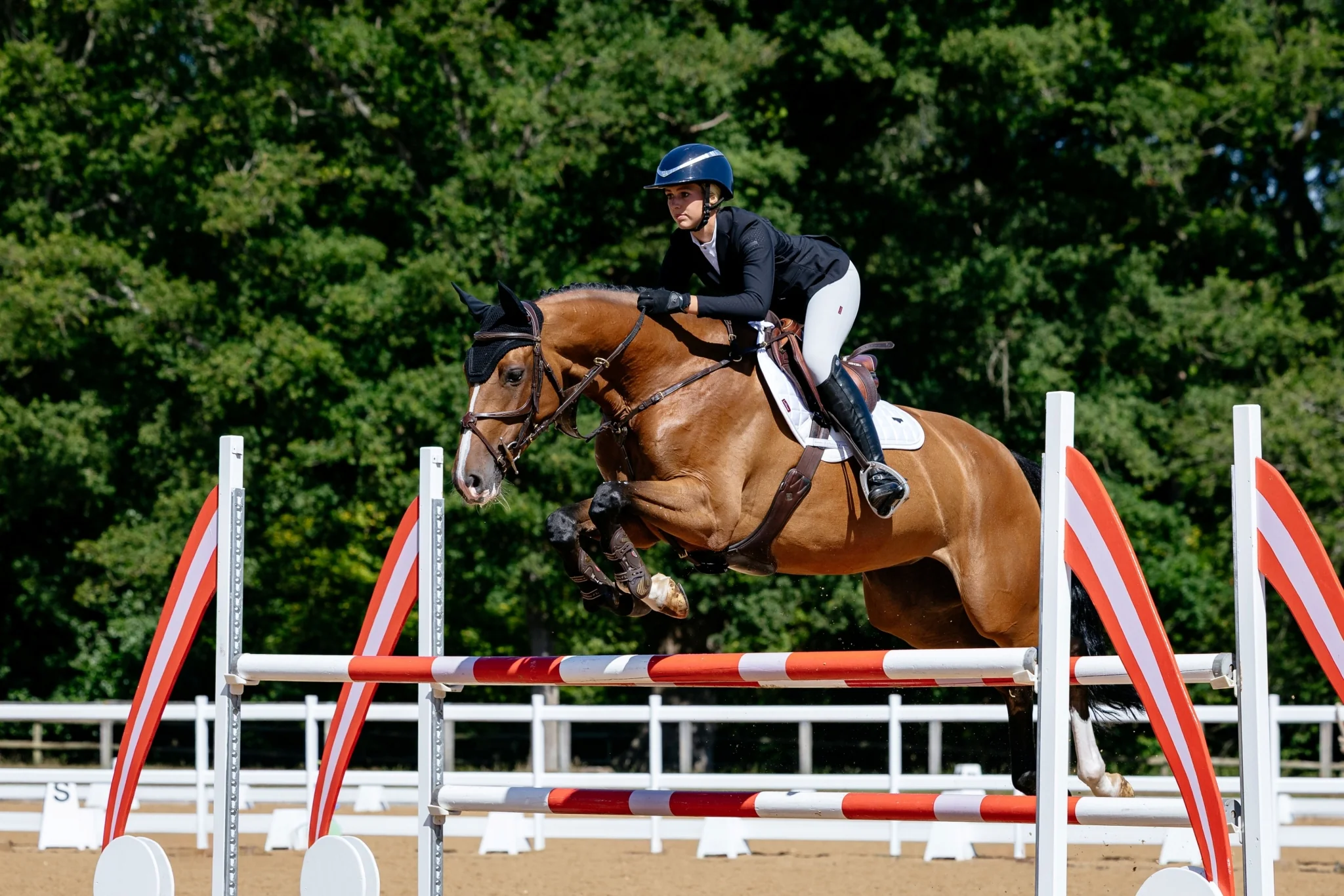 Lemieux Loire Classic Close Contact Square Pad - Image 14