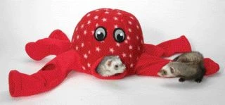Marshall Octo-Play - Image 2