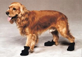 NEED DRY FEET? Dog Non-Skid Boots for Rain and Snow - Image 2
