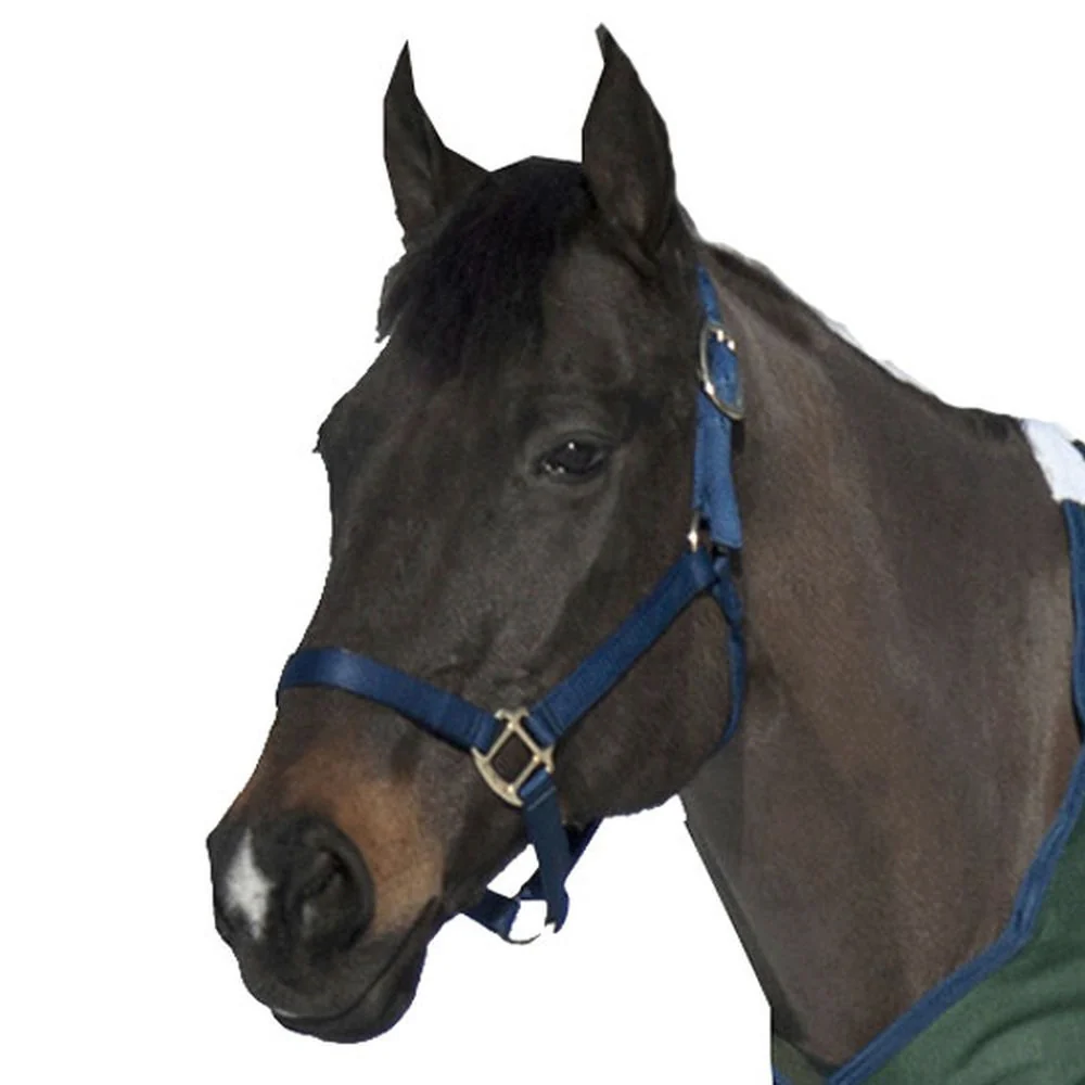 Nylon Halter