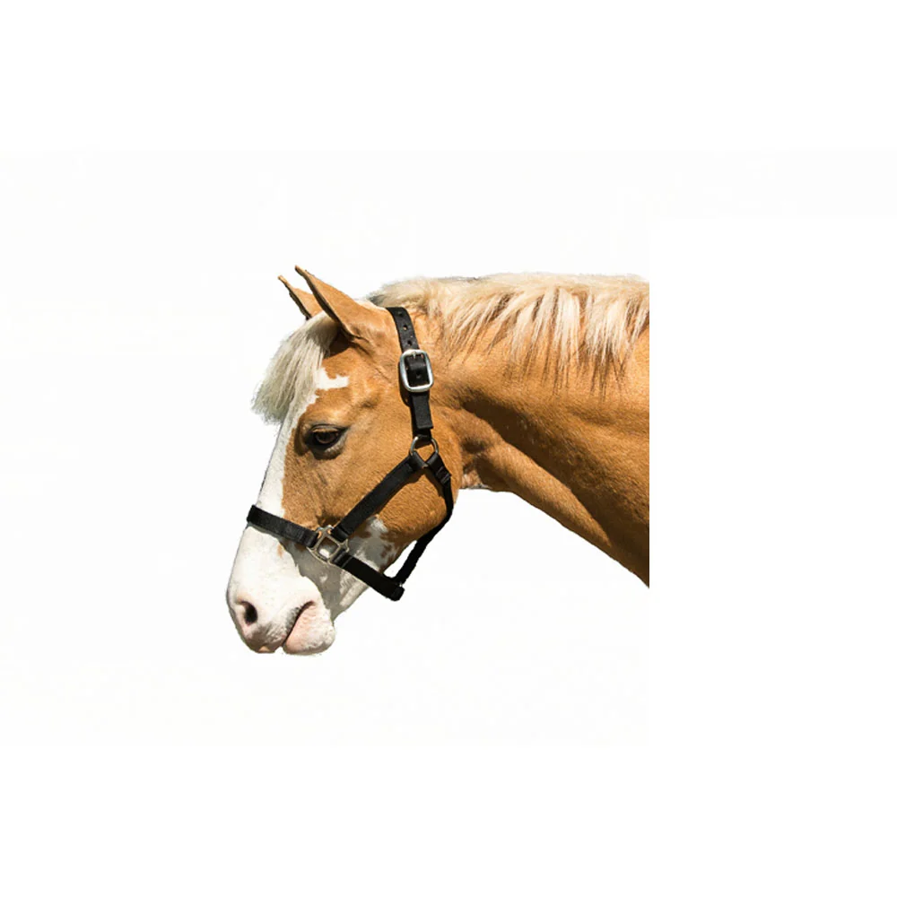 Nylon Halter - Image 3