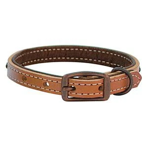 Weaver Outlaw 5/8" Dog Collar