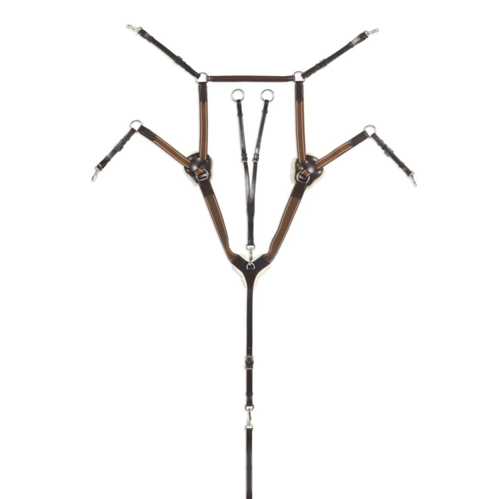 Ovation 5 Point Breastplate