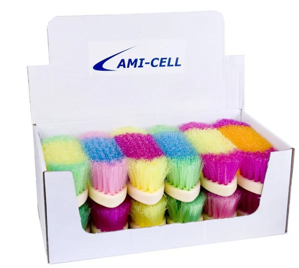 Partrade Rainbow Dandy Brush