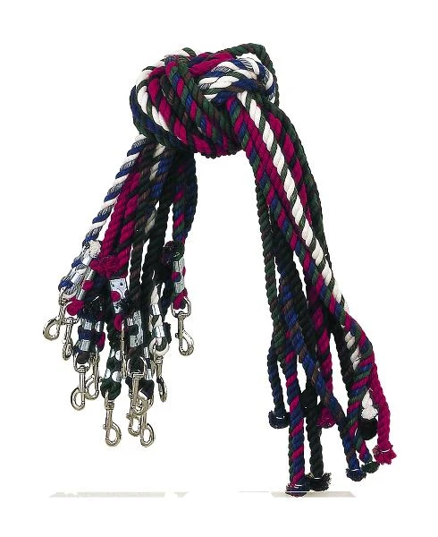 Perris Multi Colored Cotton Lead Rope