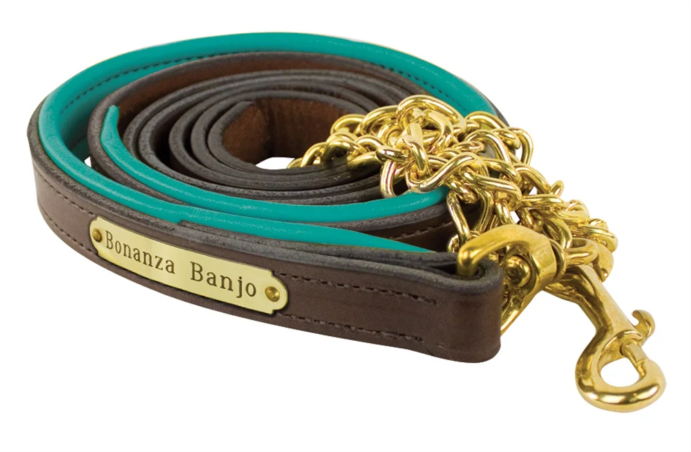 Perri's Personalized Padded Leather Lead with Chain - Image 13