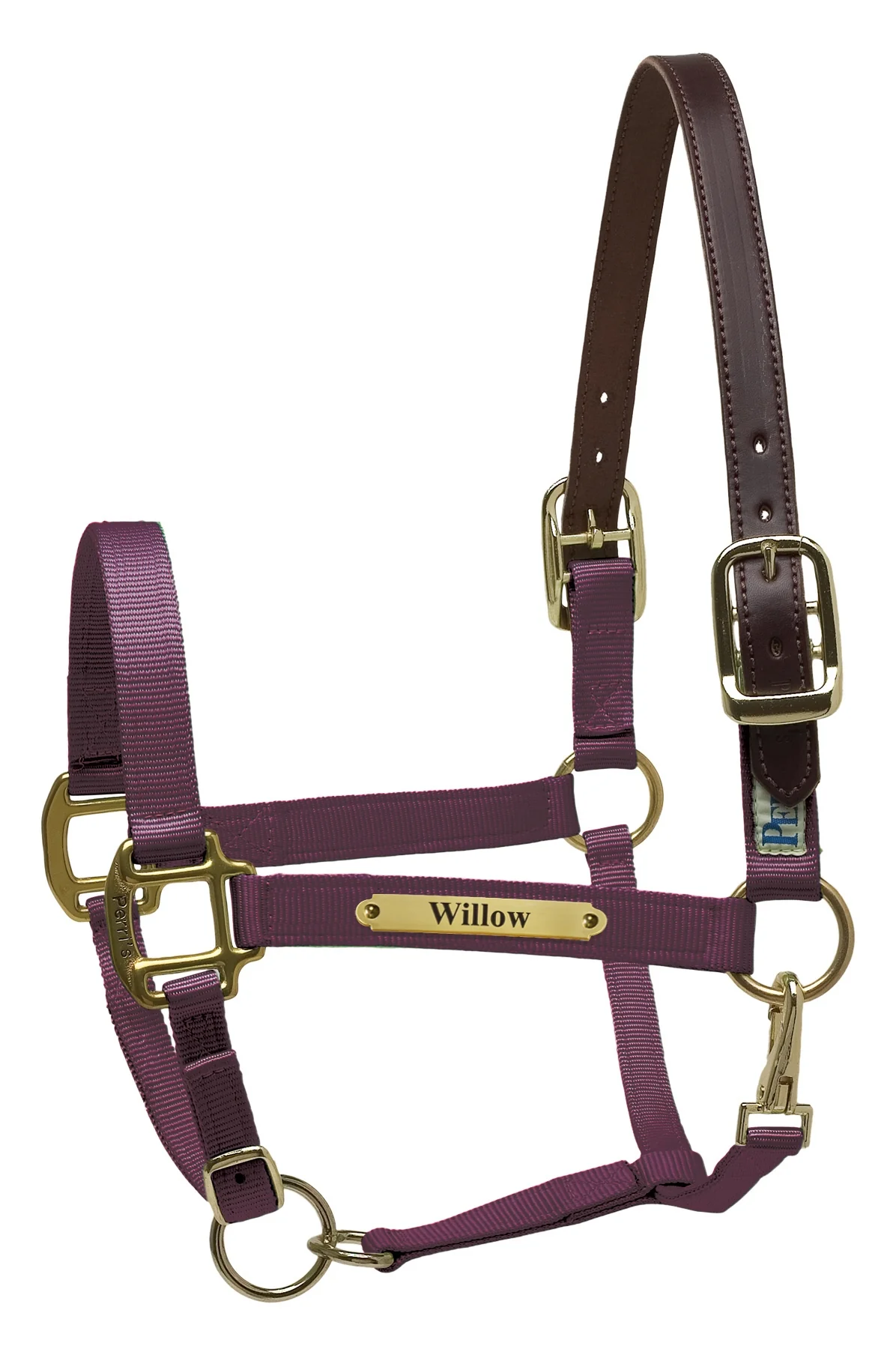 Perri's Personalized Premium Nylon Safety Halter - Image 2