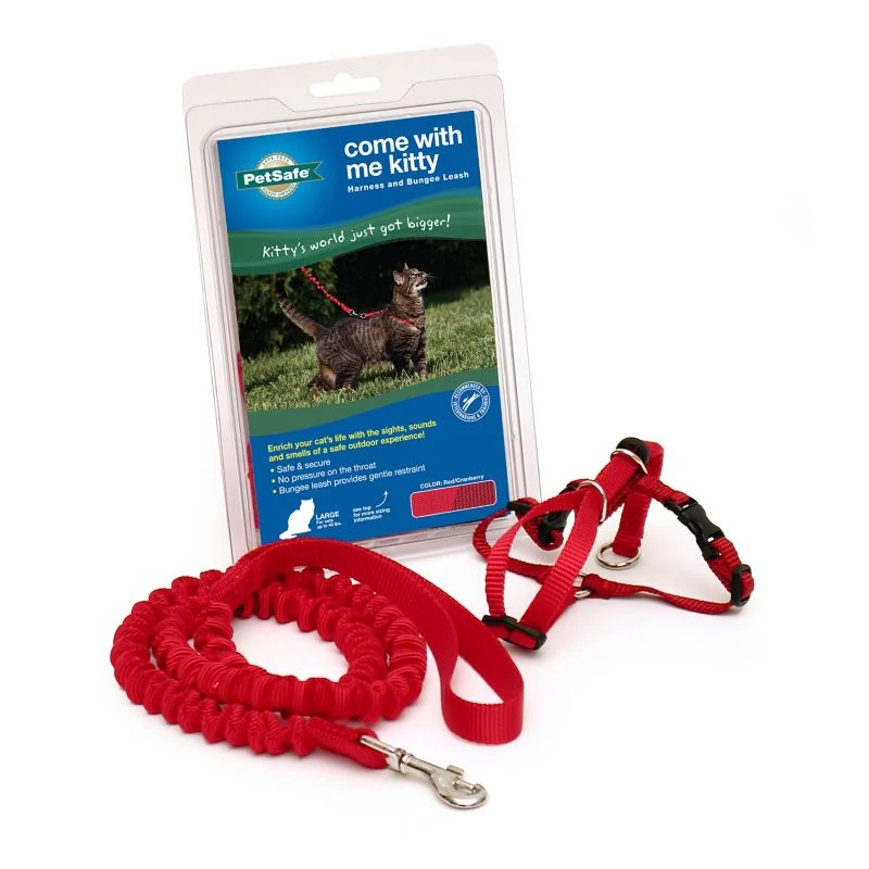 Petsafe Come With Me Kitty Harness & Bungee Leash - Image 2
