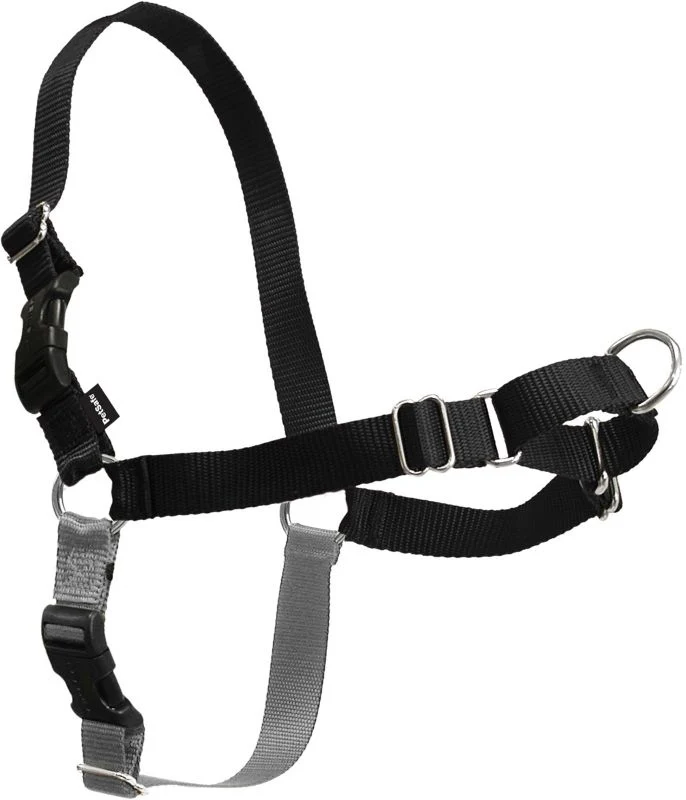 Petsafe Easy Walk Harness