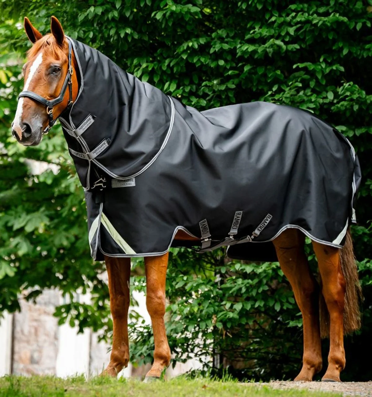 Rambo 1680D Plus Turnout 100g - Image 2