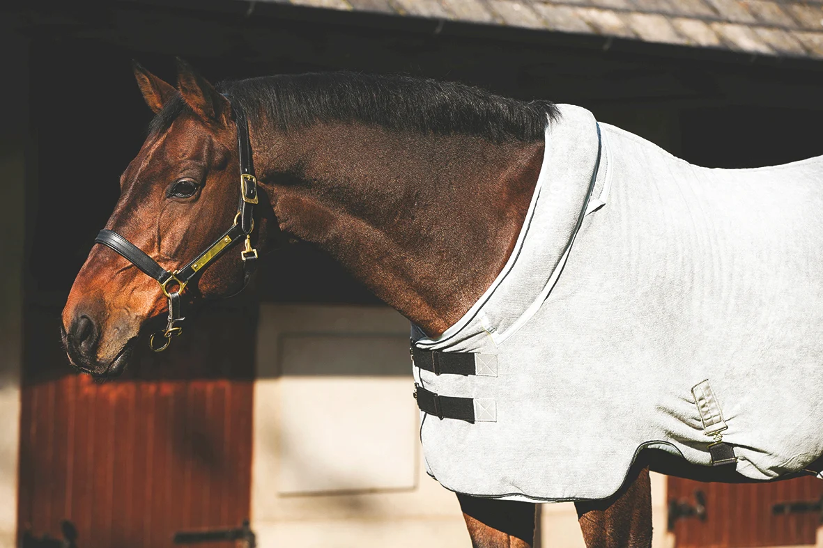 Rambo Dry Rug - Image 2