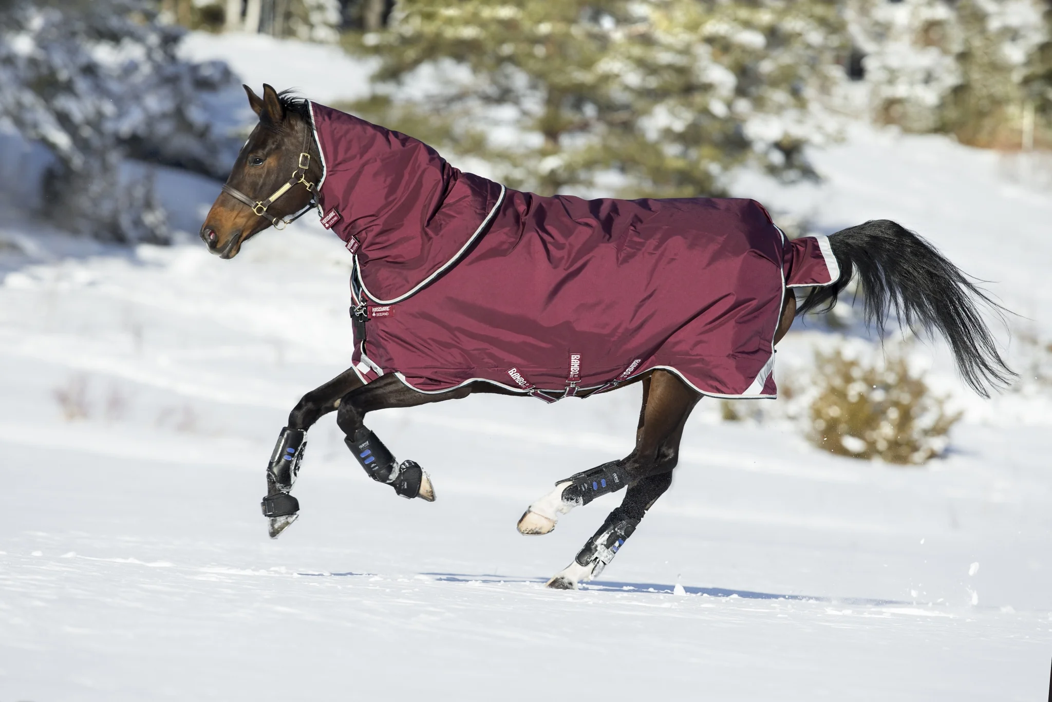 Rambo by Horseware Duo Neck Cover - Image 2