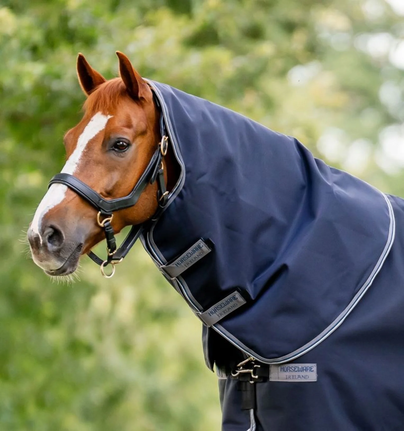 Rambo 1680D Turnout Hood 250g - Image 2