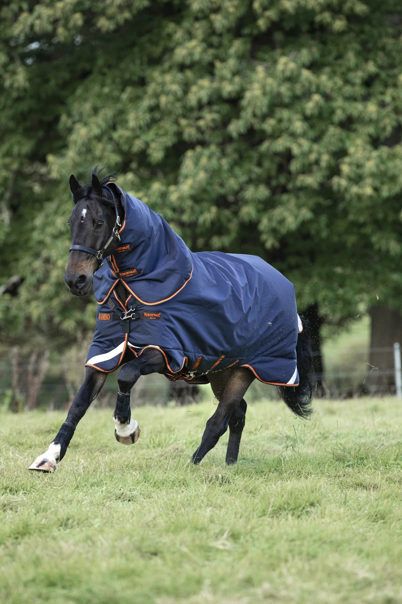 Rambo Supreme Turnout Blanket (50g Lite)