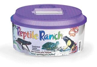 Reptile Ranch Home For Reptiles - Image 2