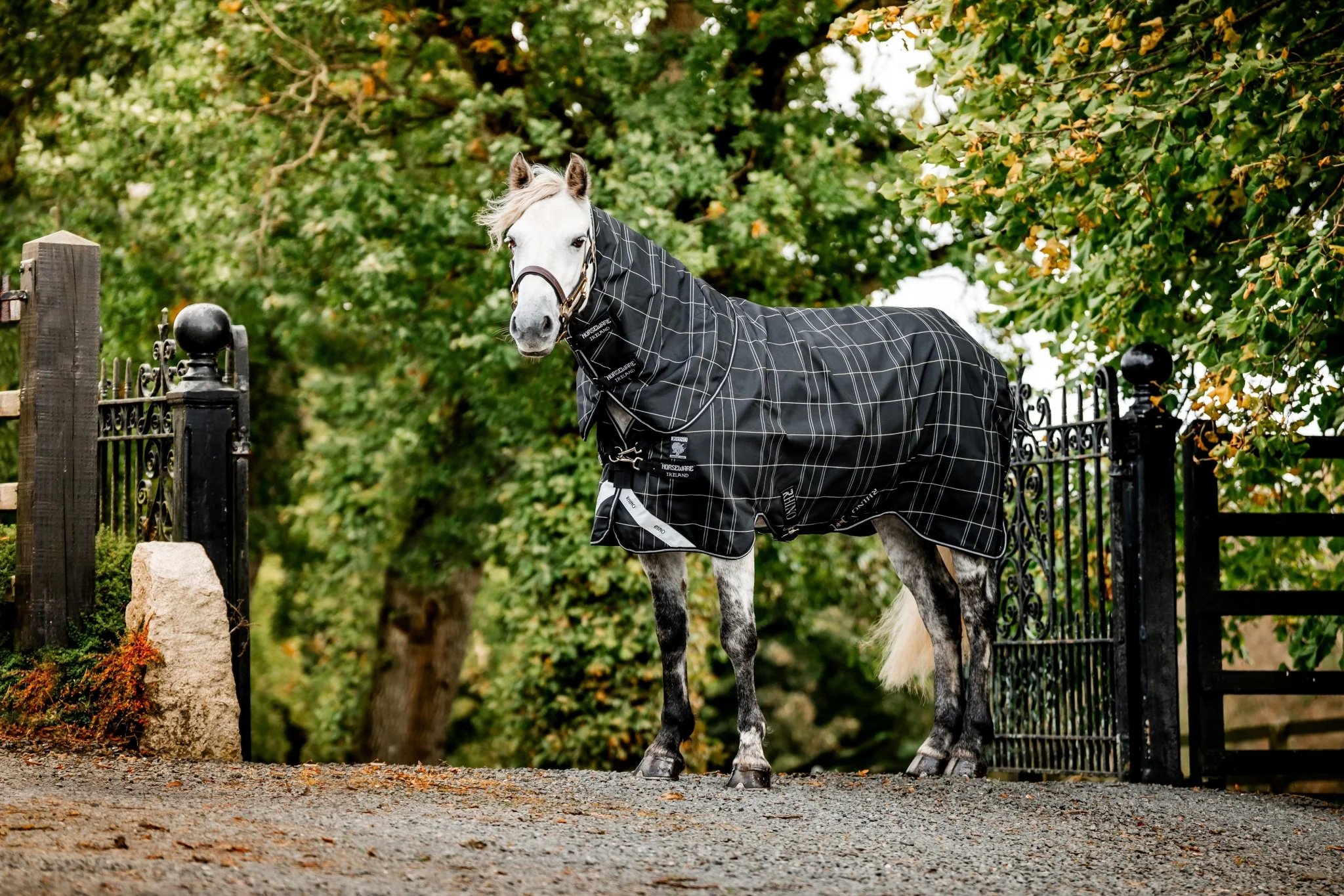 Rhino Plus Pony Turnout Bundle - Image 2