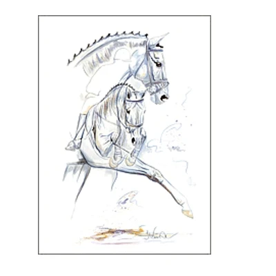 Riviera (Dressage) By: Jan Kunster