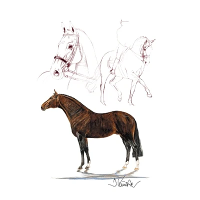 Rosenkavalier, Dressage Art Print by Jan Kunster