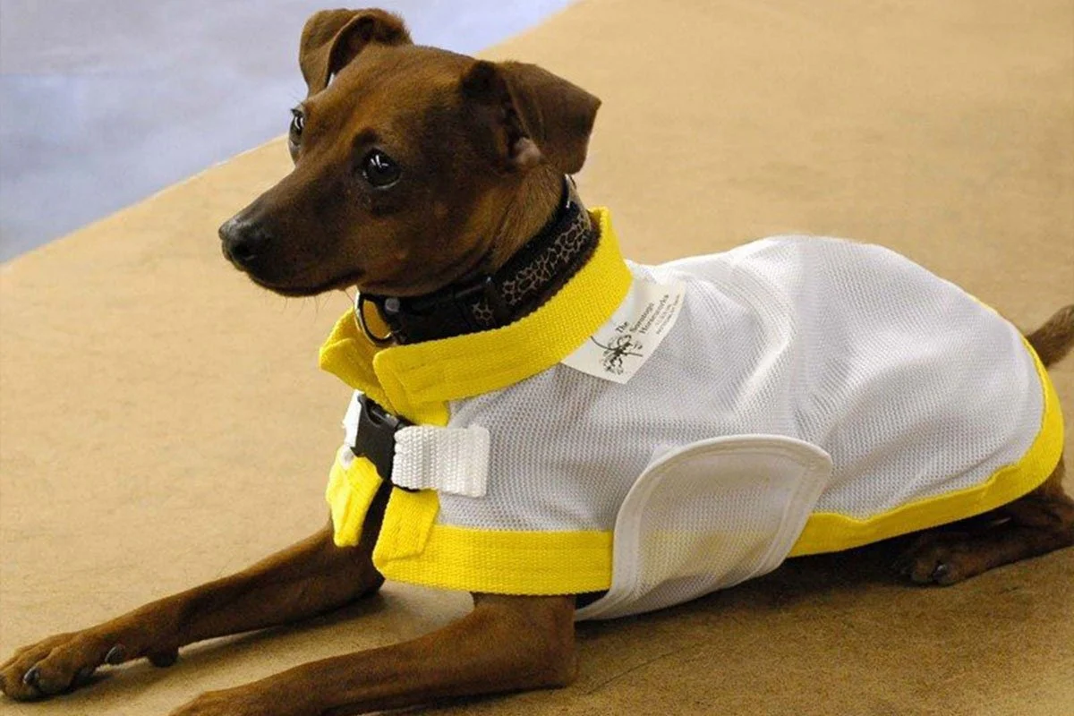 Saratoga Horseworks K9 Kool Coat - Image 7