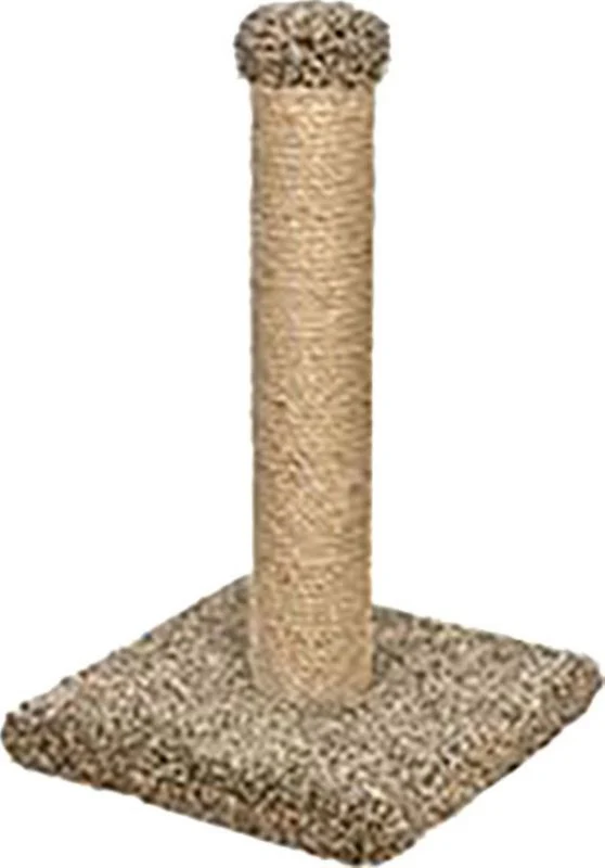 SCRATCHING POST