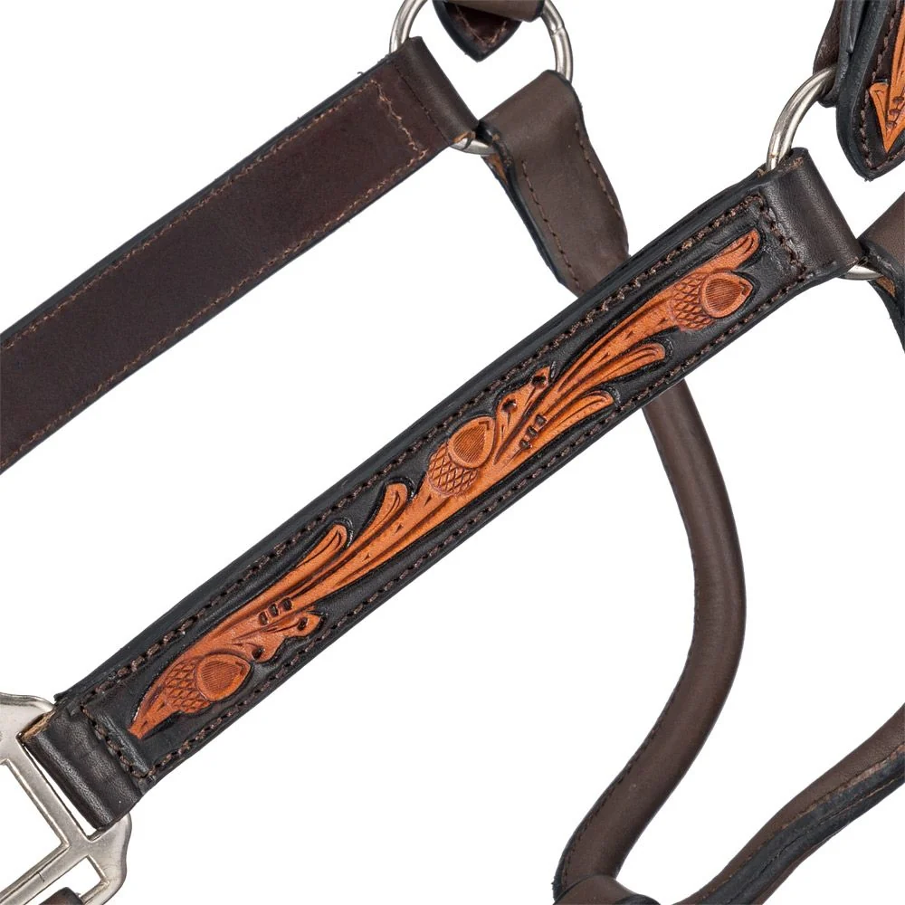 Silver Royal Ranch Halter - Image 2