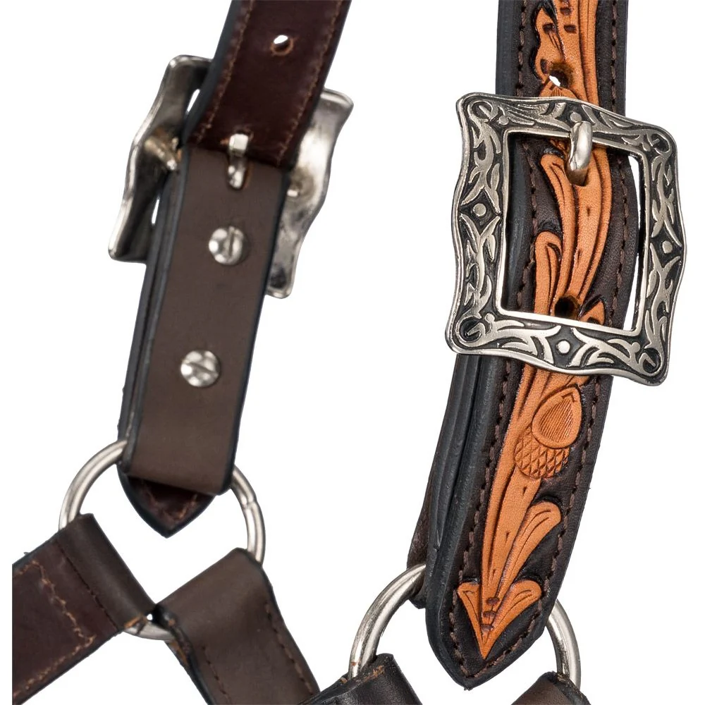 Silver Royal Ranch Halter - Image 3
