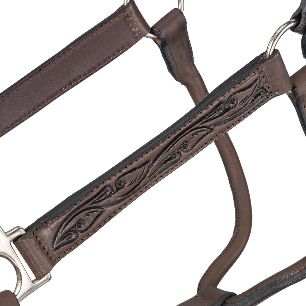 Silver Royal Ranch Halter - Image 2