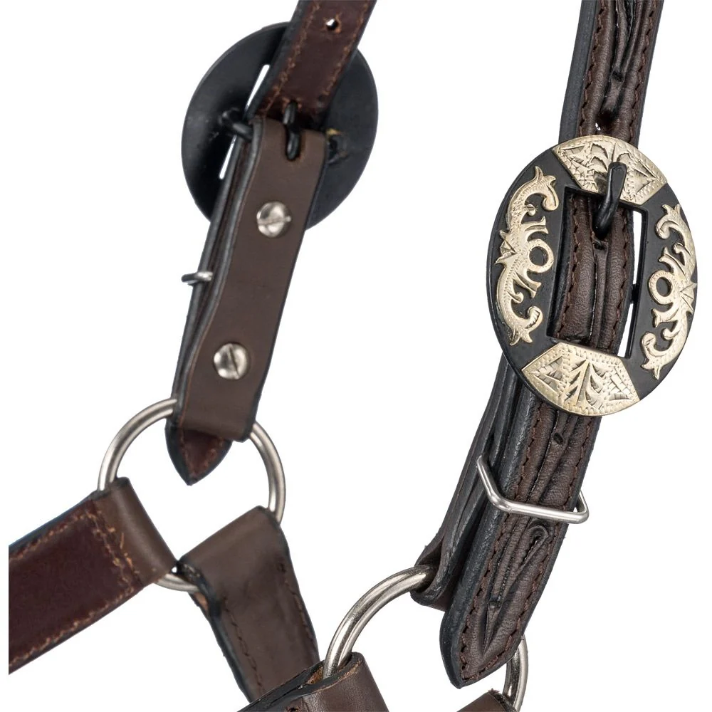Silver Royal Ranch Halter - Image 3