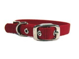 Single Thck Nyln Dlx Dg Collar - Image 2