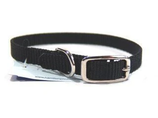 Single Thck Nyln Dlx Dg Collar