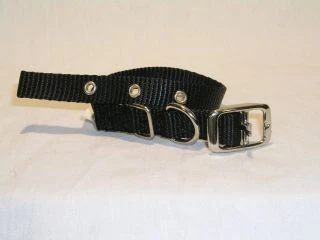 Single Thck Nyln Dlx Dg Collar