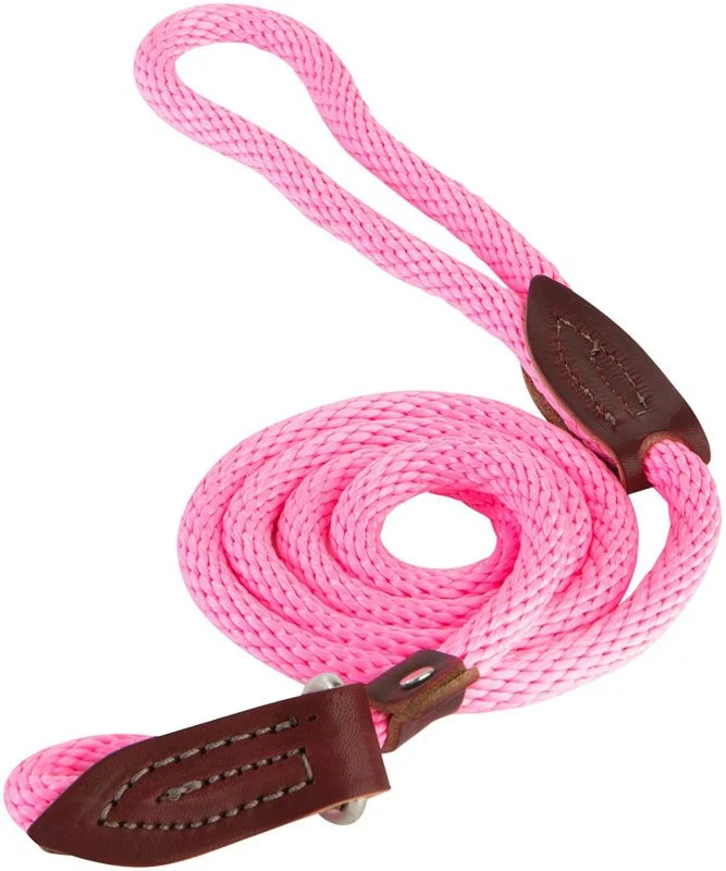 Slip Lead for Dogs - Image 8