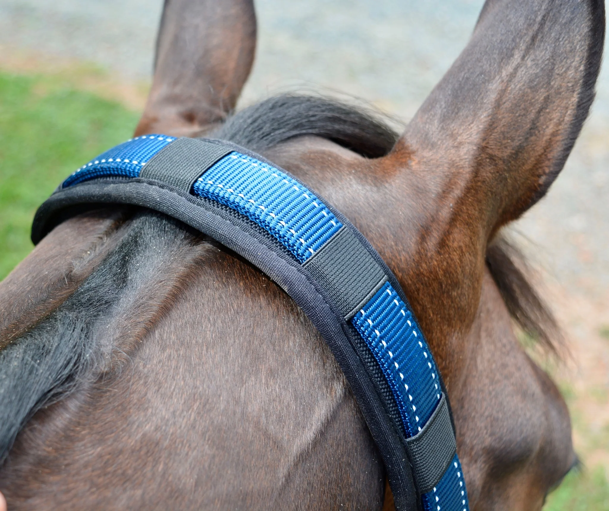 Stubben Reflective Stable Halter - Image 2