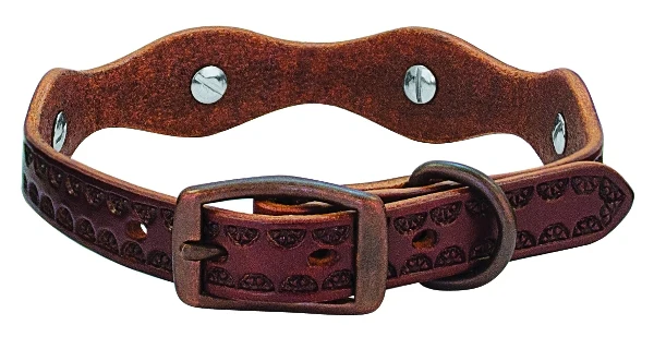Weaver Sundance 3/4" Dog Collar - Image 3