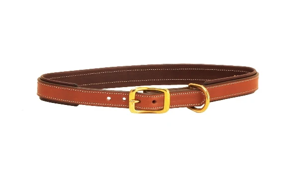 Tory Leather 2-Tone Padded Leather Dog Collar - Image 40
