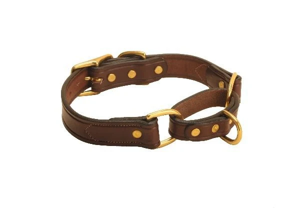 Tory Leather Martingale Leather Dog Collar - Image 2