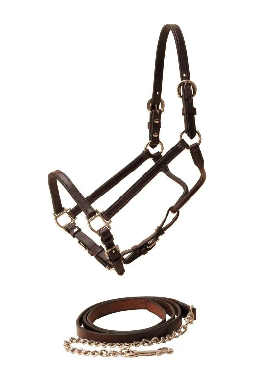 Tory Leather Show Halter & Chain Lead - Image 10