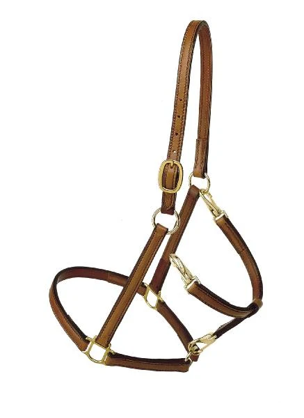 Tory Leather Track/Grooming Conversion Halter with Brass Hardware - Image 2